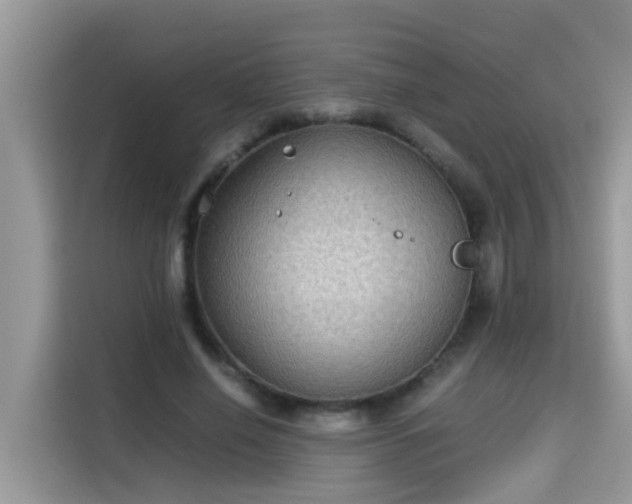 X0000115310638200911091137
