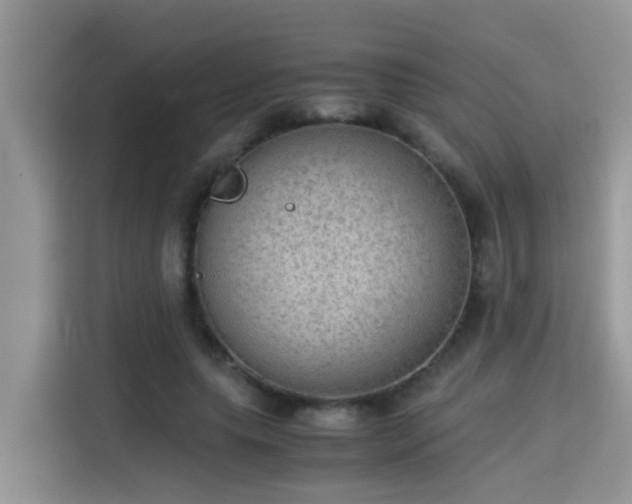X0000115310639200911091138