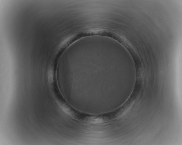 X0000115310640200911091138
