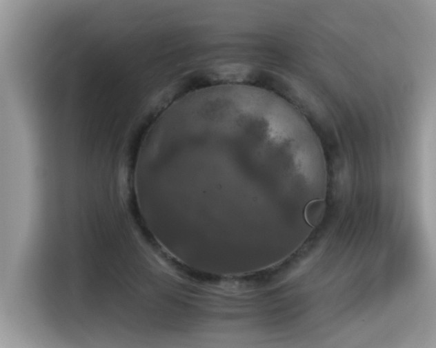 X0000115310641200911091138