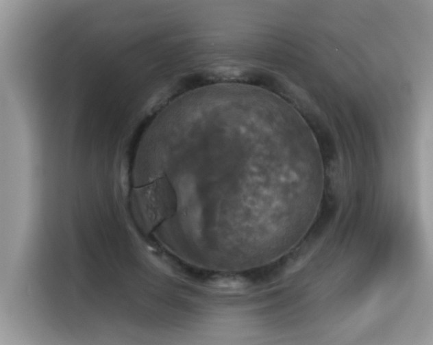 X0000115310642200911091138