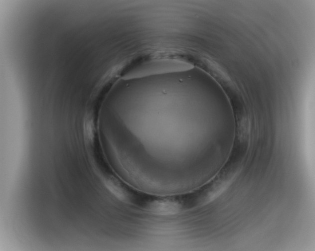 X0000115310644200911091138