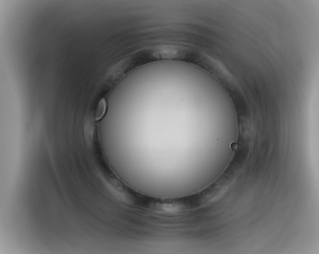 X0000115310645200911091138