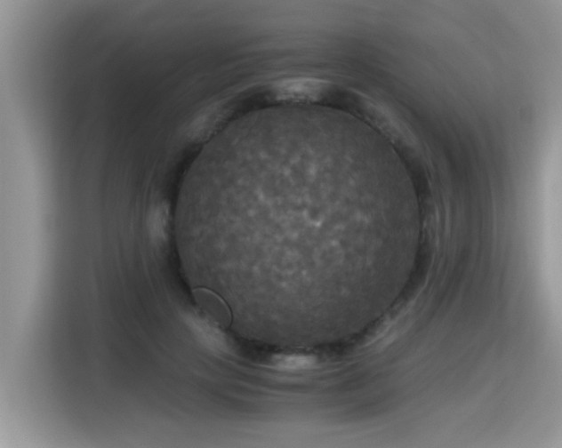 X0000115310649200911091138