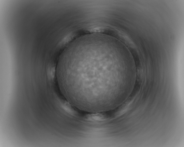 X0000115310652200911091138