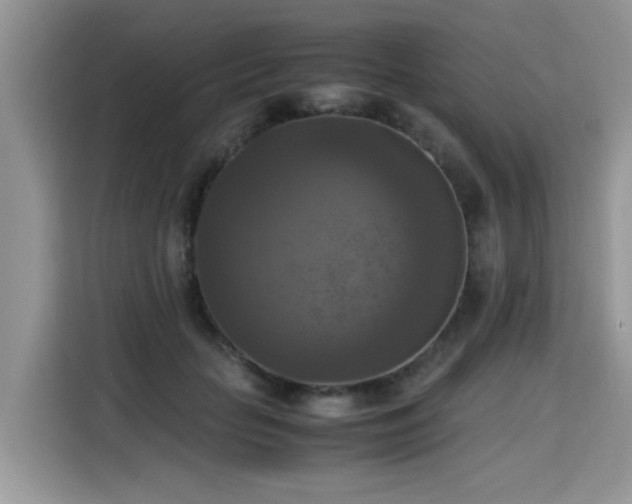 X0000115310653200911091138