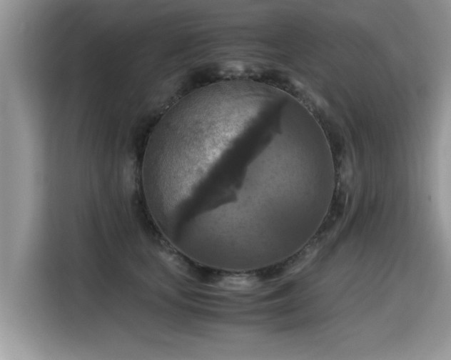 X0000115310659200911091138