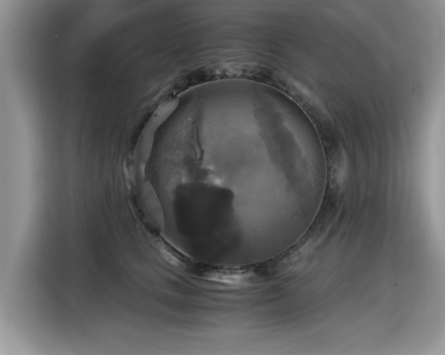 X0000115310661200911091138