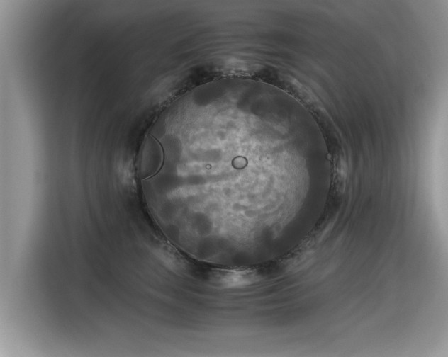 X0000115310663200911091138