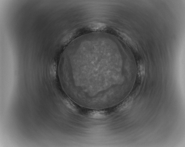 X0000115310664200911091138