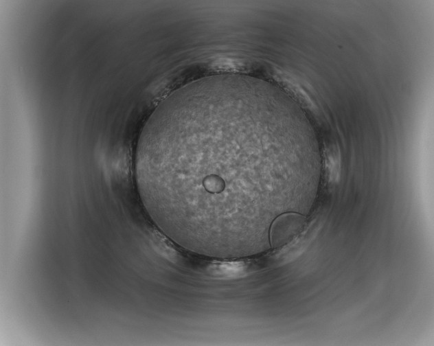 X0000115310665200911091138