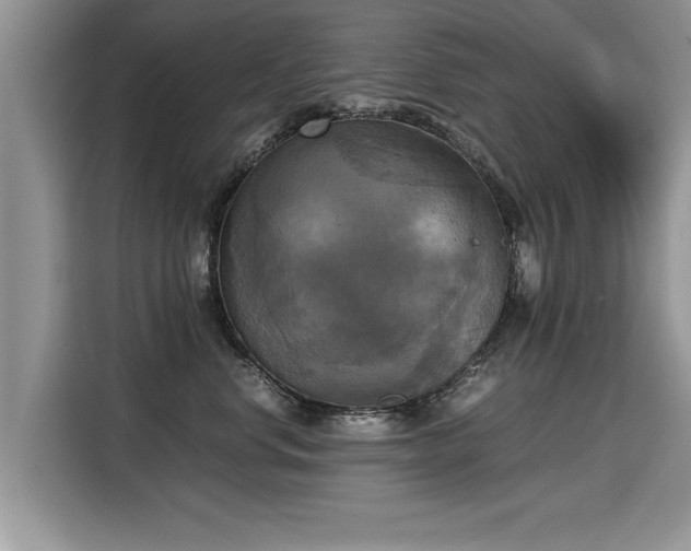 X0000115310668200911091138
