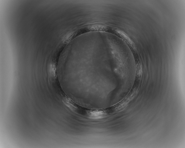 X0000115310669200911091138