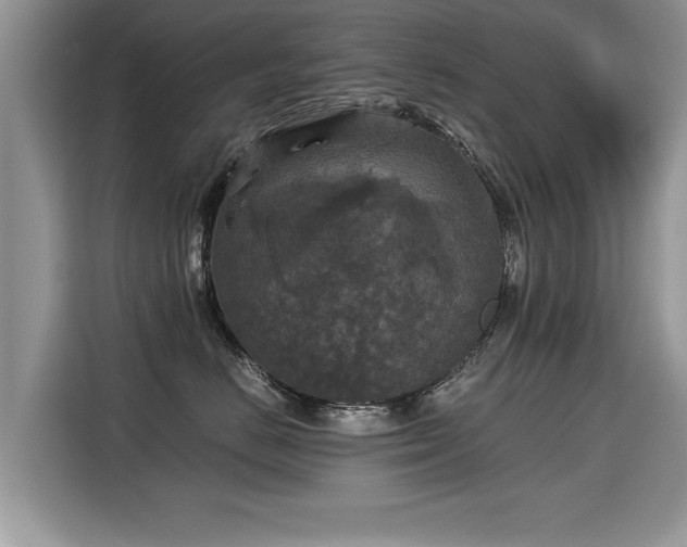 X0000115310670200911091138