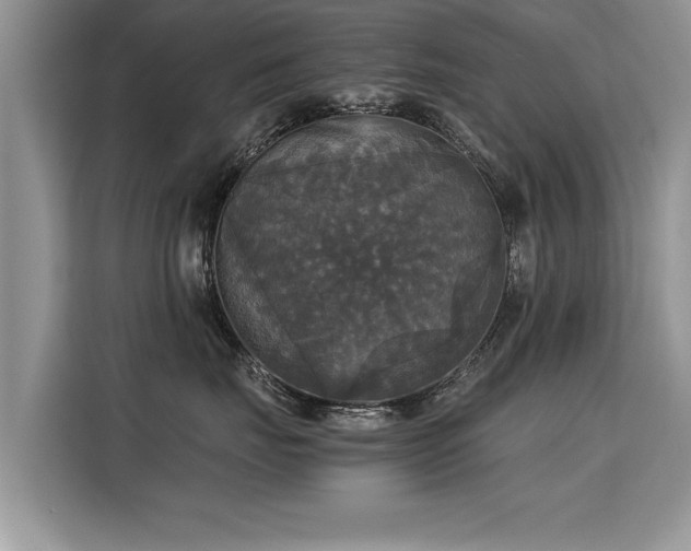 X0000115310671200911091138