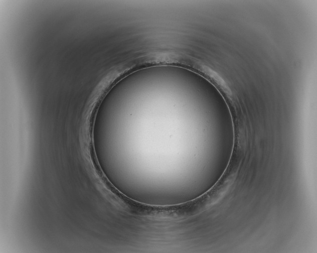 X0000115310673200911091137