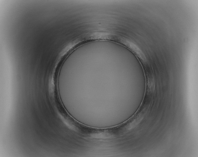 X0000115310674200911091137