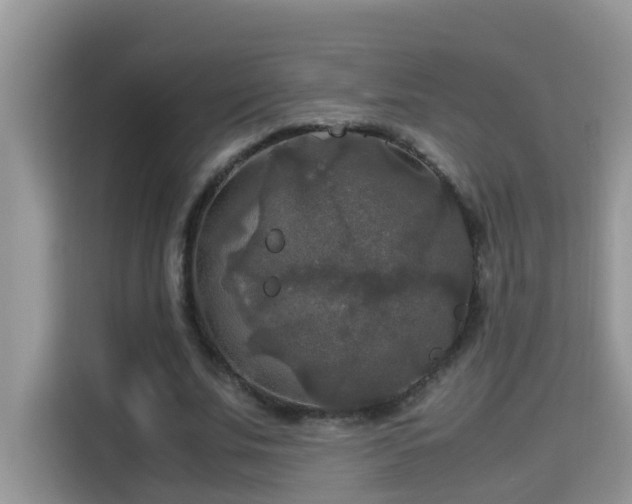 X0000115310679200911091137