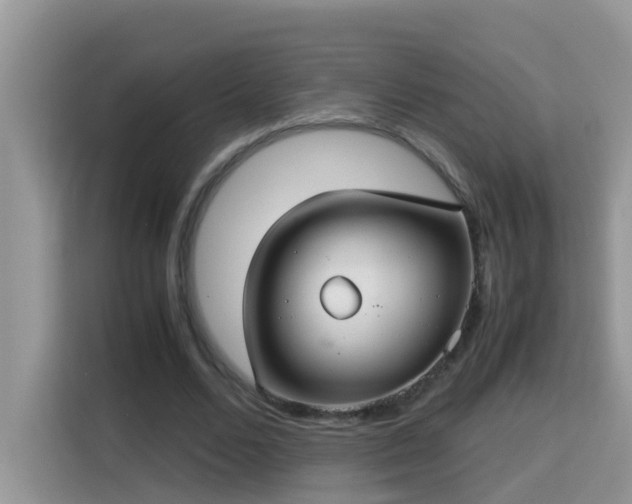 X0000115310680200911091137