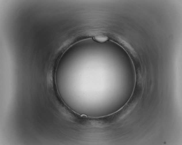 X0000115310681200911091137