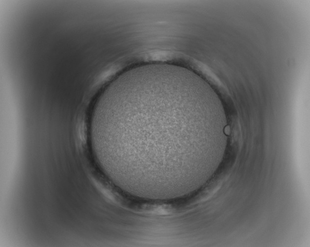 X0000115310683200911091137