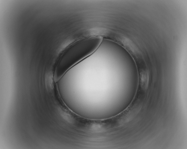 X0000115310684200911091137