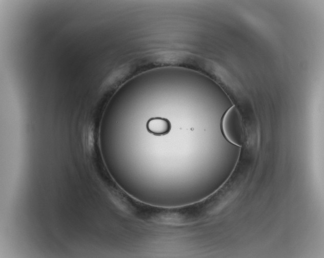 X0000115310685200911091137