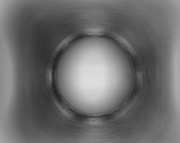X0000115310686200911091137