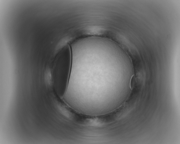 X0000115310688200911091137