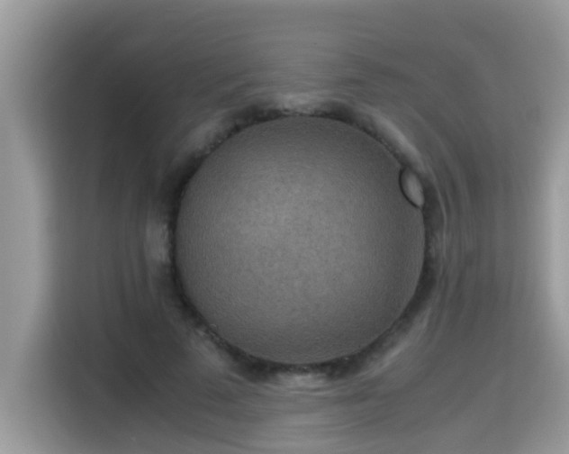 X0000115310689200911091137