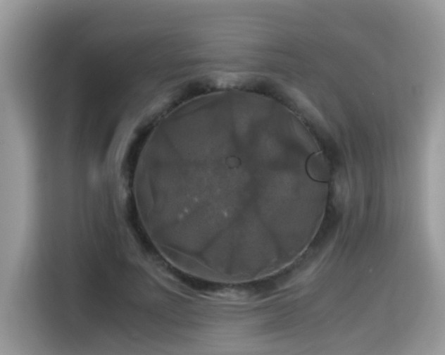 X0000115310691200911091137