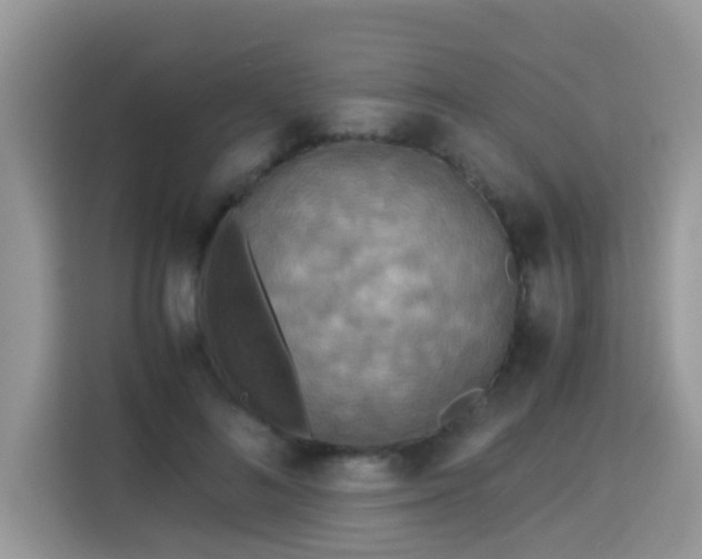 X0000115310692200911091137