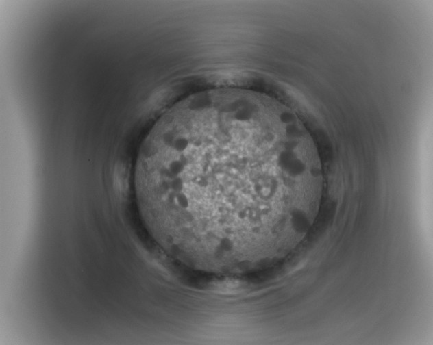 X0000115310695200911091137