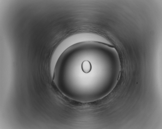 X0000115310696200911091137