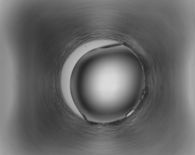 X0000115310697200911091137