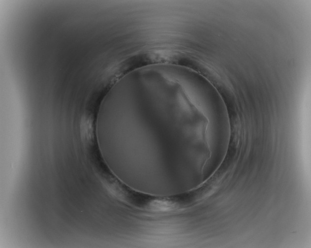 X0000115310699200911091137