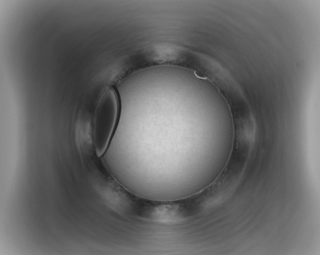 X0000115310700200911091137