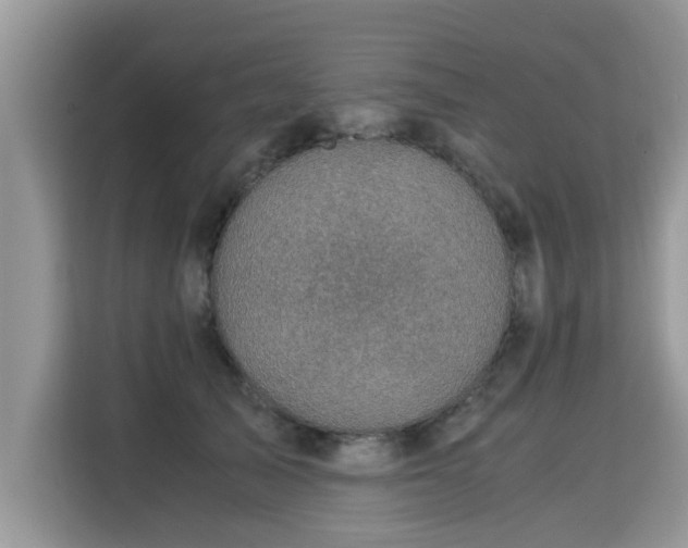 X0000115310705200911091137
