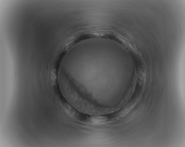 X0000115310707200911091137
