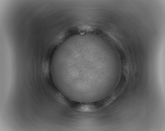 X0000115310708200911091137
