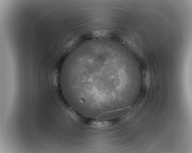 X0000115310712200911091137
