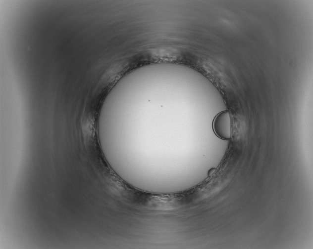 X0000115310713200911091137