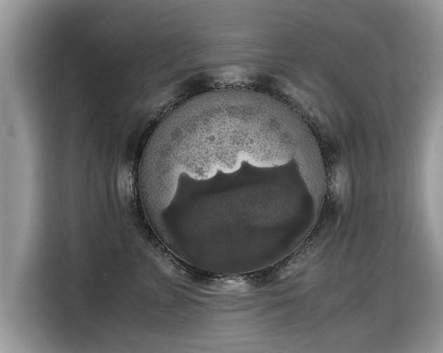 X0000115310715200911091137