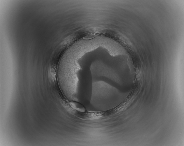 X0000115310719200911091137