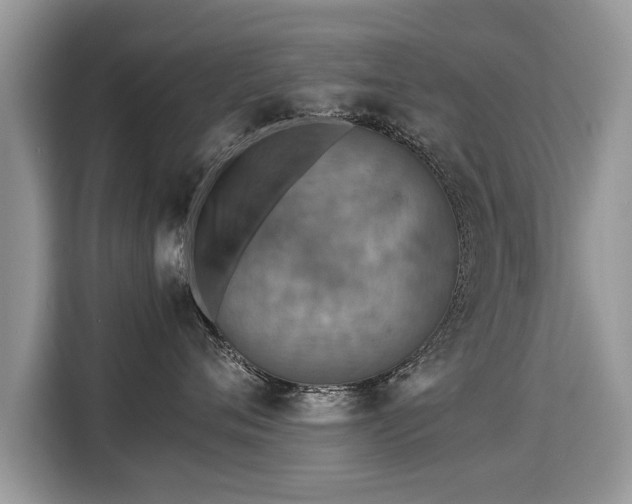 X0000115310720200911091137