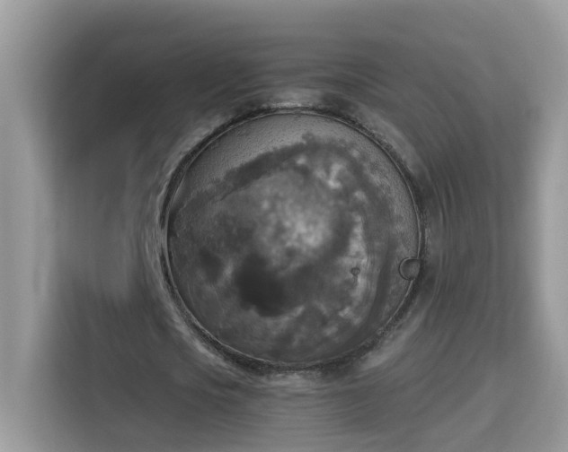 X0000115310721200911091136