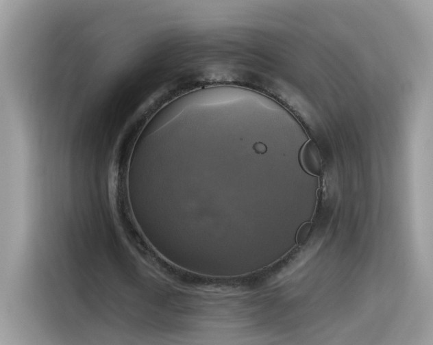 X0000115310722200911091136