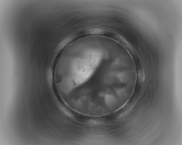 X0000115310725200911091136