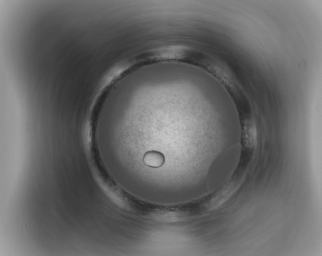 X0000115310726200911091136