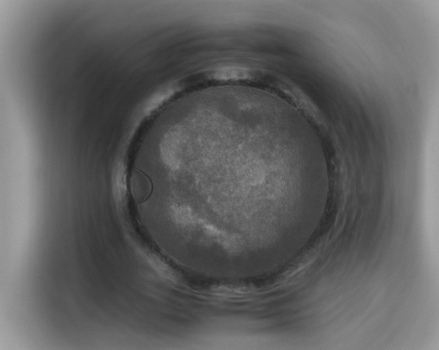 X0000115310727200911091136